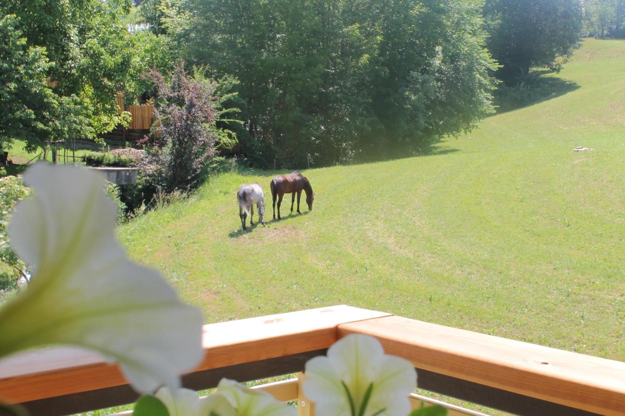 House Gabrijel With Four Seasons Outdoor Kitchen Villa Bled Kültér fotó